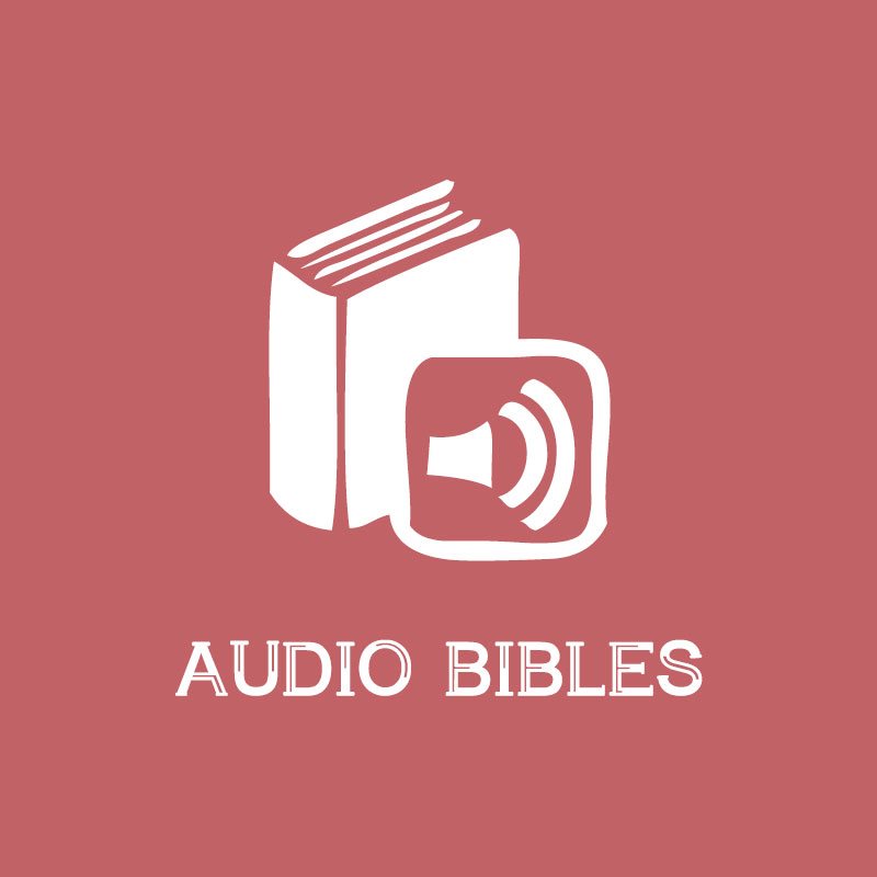 AUDIO BIBLES