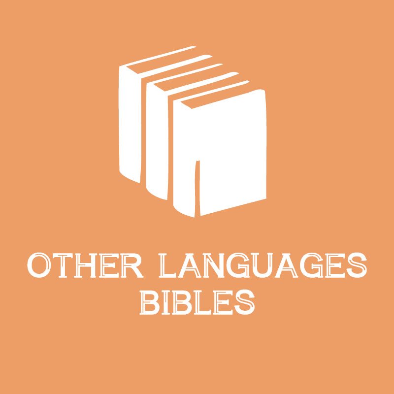 BIBLES IN OTHER LANGUAGES