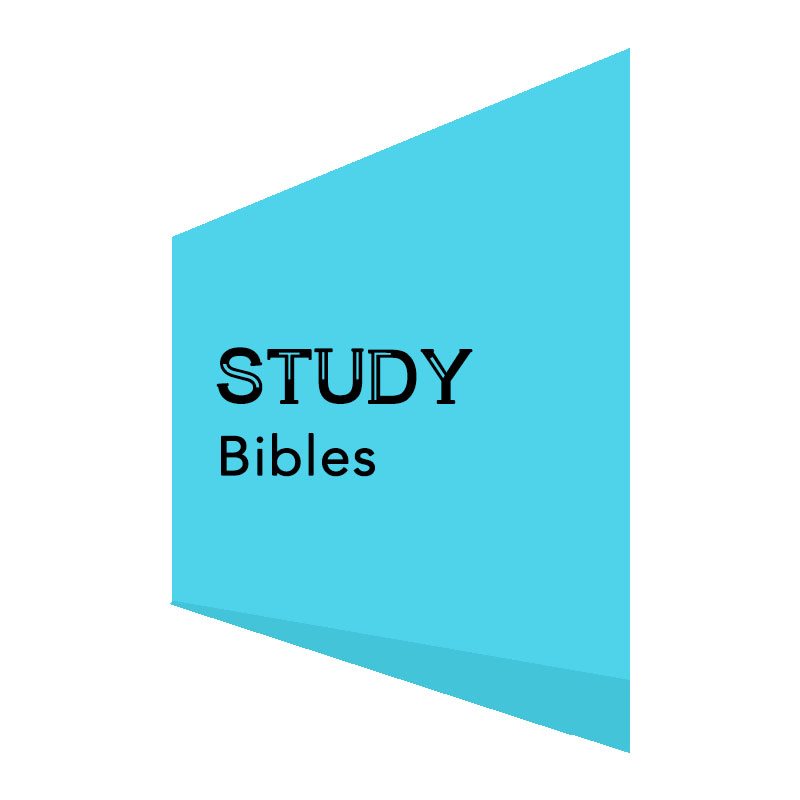 STUDY BIBLES