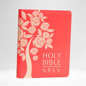 BA DC NRSV - CATHOLIC COMP. PNK