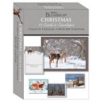 Boîte de 12 Cartes de Noël  /  Boxed Christmas Cards Deer in Winter 