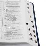 Brazilian Portuguese Bible