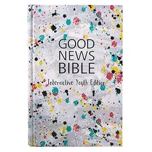 Good News Interactive Youth Bible