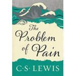 The Problem of Pain