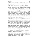 KJV Super Giant-Print Dictionary & Concordance
