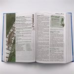Biblia Descubrimiento RVR 1960 (Espagnol)