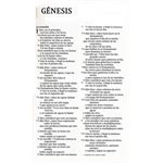 Santa Biblia NVI Letra Grande, Edición Económica (NVI Large Print Holy Bible, Economic Edition)