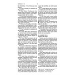 RVR 1960 Santa Biblia, Letra Grande, Tamaño Compacto, Negro (Compact Holy Bible, Large Print, LeatherSoft Black)