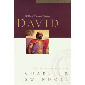 David A Man Of Passion And Destiny (Paperback, Large Print)