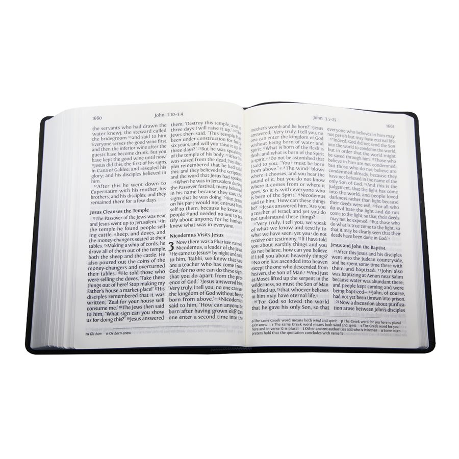 Nrsv large print bible deluxe