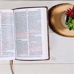 CSB Large-Print Personal-Size Reference Bible--soft leather-look, brown with Celtic cross