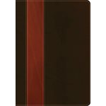 NKJV Life Application Study Bible 2nd Edition, Large Print, Brown and Tan Imitation Leather