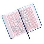 KJV Holy Bible, Giant Print Standard Bible, Two-Tone Blue Faux Leather Bible w / Ribbon Marker, Red Letter Edition, King James Version