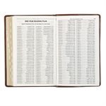 KJV Gift Edition Bible--imitation leather, brown