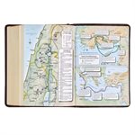 KJV Large-Print Compact--imitation leather, brown