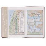 KJV Giant-Print Bible - Imitation leather, brown