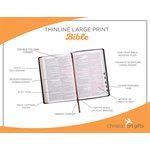 KJV Thinline Bible - Imitation leather, brown