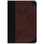 BESV Large Print Compact Bible (TruTone, Brown / Walnut, Portfolio Design), Leather, imitation
