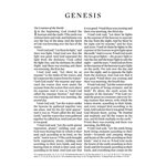 BESV Large Print Compact Bible (TruTone, Brown / Walnut, Portfolio Design), Leather, imitation