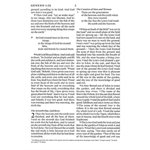 BESV Large Print Compact Bible (TruTone, Brown / Walnut, Portfolio Design), Leather, imitation