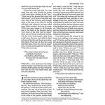 BESV Large Print Compact Bible (TruTone, Brown / Walnut, Portfolio Design), Leather, imitation