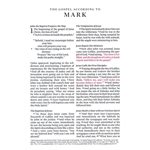 BESV Large Print Compact Bible (TruTone, Brown / Walnut, Portfolio Design), Leather, imitation