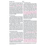 BESV Large Print Compact Bible (TruTone, Brown / Walnut, Portfolio Design), Leather, imitation