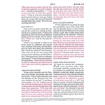 BESV Large Print Compact Bible (TruTone, Brown / Walnut, Portfolio Design), Leather, imitation