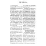 ESV Thinline Bible - soft leather-look, deep teal with rotunda design