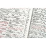 Biblia de Estudio Scofield RVR 1960, Tapa Dura (RVR 1960 Scofield Study Bible, Hardcover)