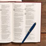 CSB Pew Bible, Garnet Hardcover