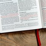 CSB Ultrathin Bible, Brown LeatherTouch