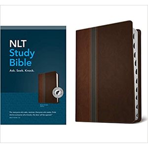 NLT Study Bible, TuTone, LeatherLike, Slate, With thumb index