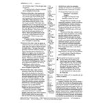 NTV Santa Biblia, Edicion ziper letra grande con referencias LeatherLike, Brown