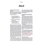 NLT Giant-Print Personal-Size Bible, Filament Enabled Edition--soft leather-look, peony / pink