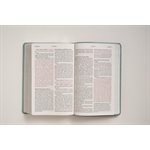 NLT Giant-Print Personal-Size Bible, Filament Enabled Edition--soft leather-look, floral frame teal