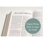 NLT Giant-Print Personal-Size Bible, Filament Enabled Edition--soft leather-look, floral frame teal