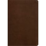 NLT Giant-Print Personal-Size Bible, Filament Enabled Edition--soft leather-look, rustic brown