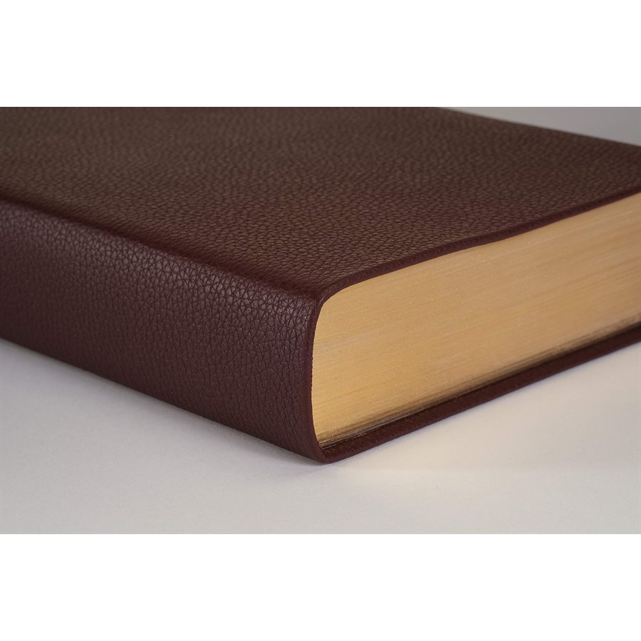 nlt-giant-print-personal-size-bible-filament-enabled-edition-soft