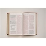 NLT Giant-Print Personal-Size Bible, Filament Enabled Edition--soft leather-look, rustic brown
