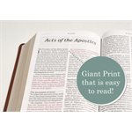 NLT Giant-Print Personal-Size Bible, Filament Enabled Edition--soft leather-look, rustic brown