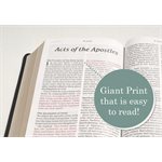 NLT Giant-Print Personal-Size Bible, Filament Enabled Edition - Soft leather-look, black / onyx
