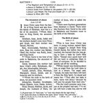 The Holy Bible: CEV Giant Print Easy Reading Bible, Flex cover