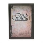 Spanish Bible Outreach Edition TLA