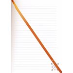 Prayer Warrior: Journal