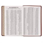 KJV Standard Giant-Print Bible--imitation leather, brown