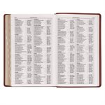 KJV Standard Giant-Print Bible--imitation leather, brown