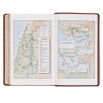 KJV Standard Giant-Print Bible--imitation leather, brown