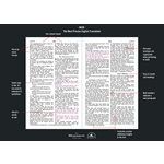 NASB Holy Bible Children's Edition