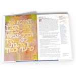 Multitudes [Relié] L’évangile de Matthieu